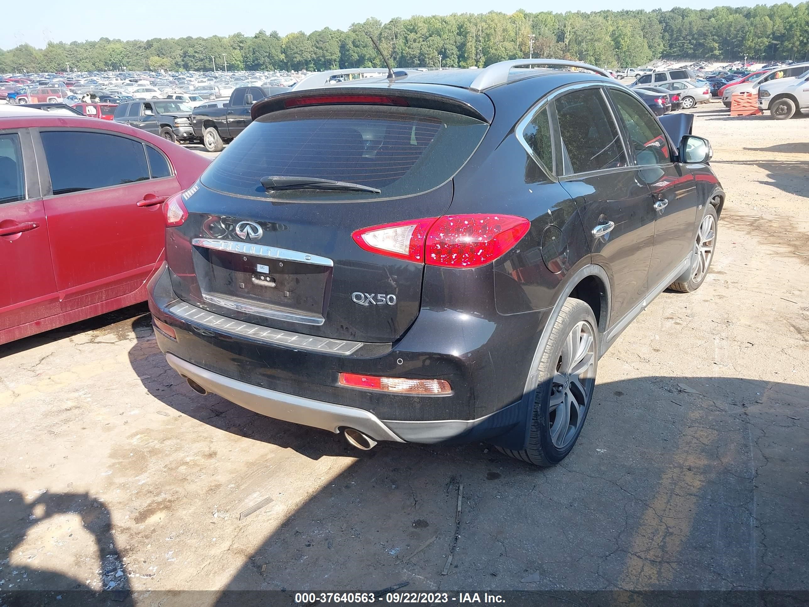 Photo 3 VIN: JN1BJ0RPXGM230981 - INFINITI QX50 