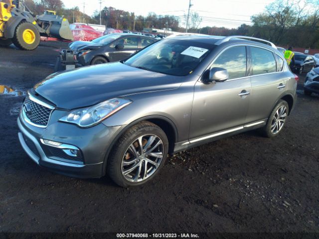 Photo 1 VIN: JN1BJ0RR0GM261948 - INFINITI QX50 