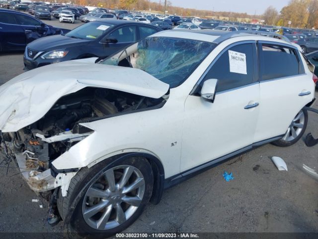 Photo 1 VIN: JN1BJ0RR0HM412207 - INFINITI QX50 