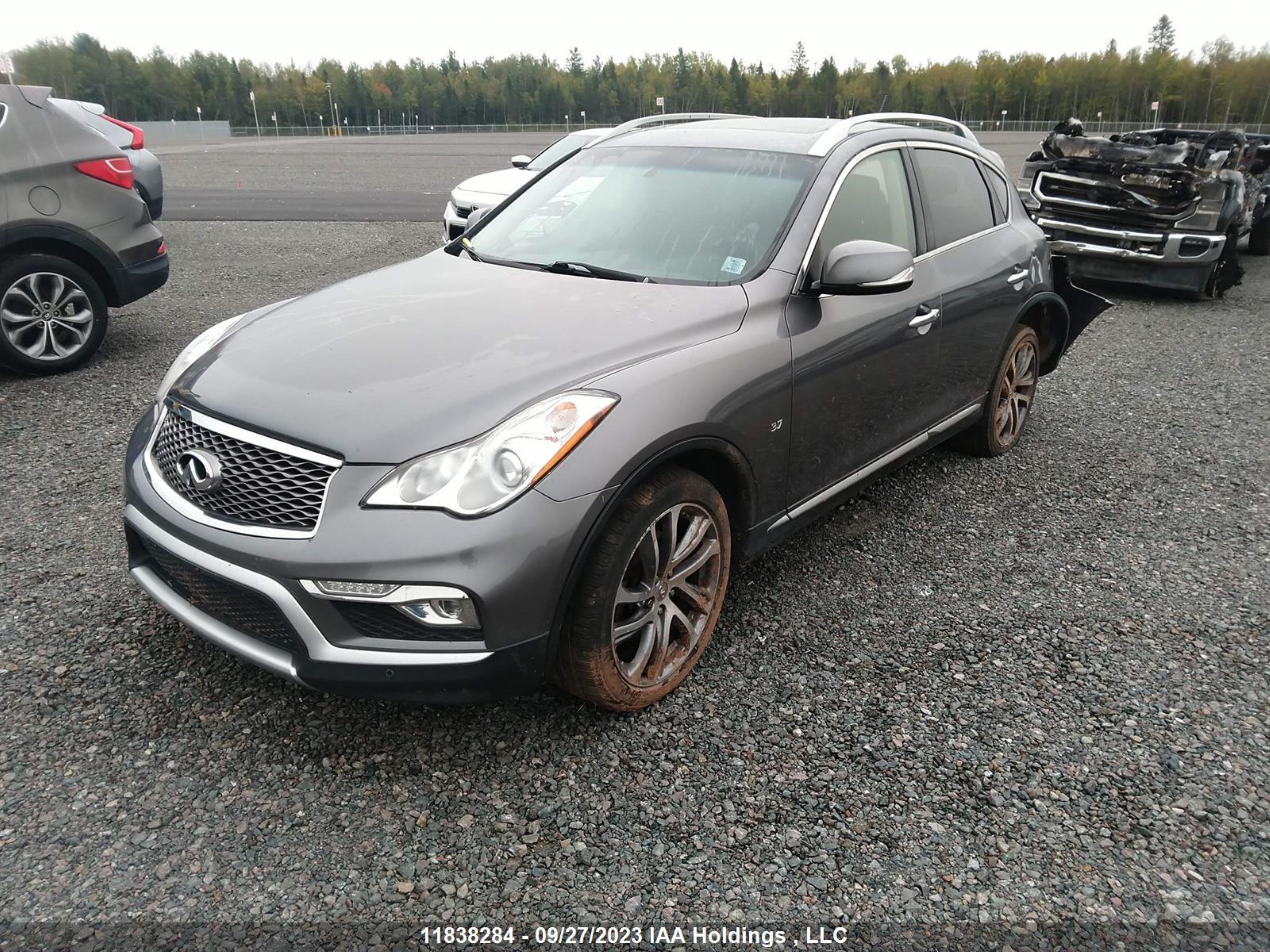 Photo 1 VIN: JN1BJ0RR1GM261635 - INFINITI QX50 