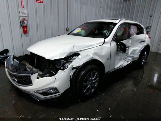 Photo 1 VIN: JN1BJ0RR3GM267789 - INFINITI QX50 