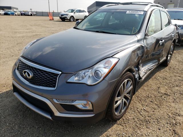 Photo 1 VIN: JN1BJ0RR4GM267896 - INFINITI QX50 