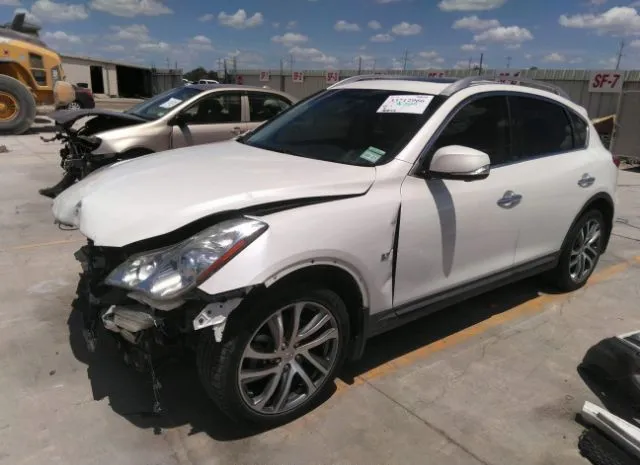 Photo 1 VIN: JN1BJ0RR5GM263260 - INFINITI QX50 