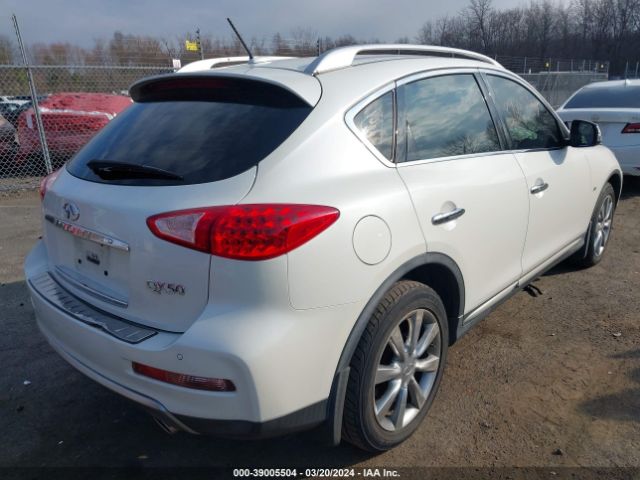 Photo 3 VIN: JN1BJ0RR5HM413594 - INFINITI QX50 