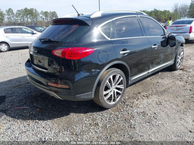 Photo 3 VIN: JN1BJ0RR7HM403956 - INFINITI QX50 