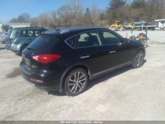 Photo 3 VIN: JN1BJ0RR8GM266234 - INFINITI QX50 