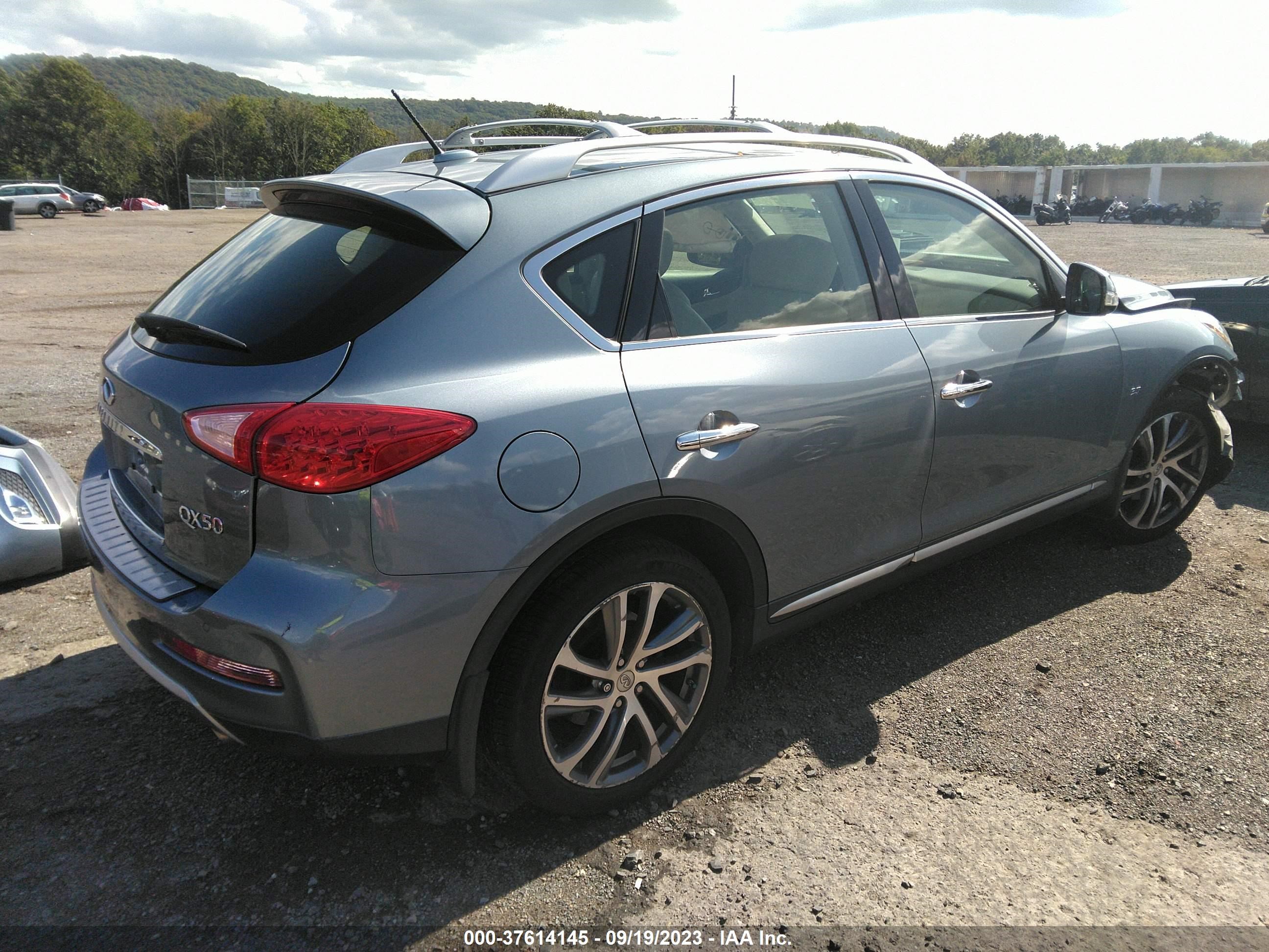 Photo 3 VIN: JN1BJ0RR9GM260037 - INFINITI QX50 