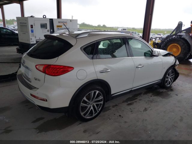 Photo 3 VIN: JN1BJ0RR9HM407264 - INFINITI QX50 