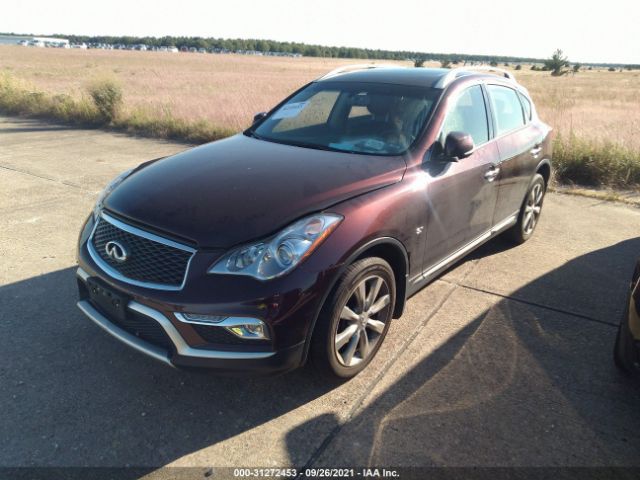 Photo 1 VIN: JN1BJ0RR9HM416904 - INFINITI QX50 