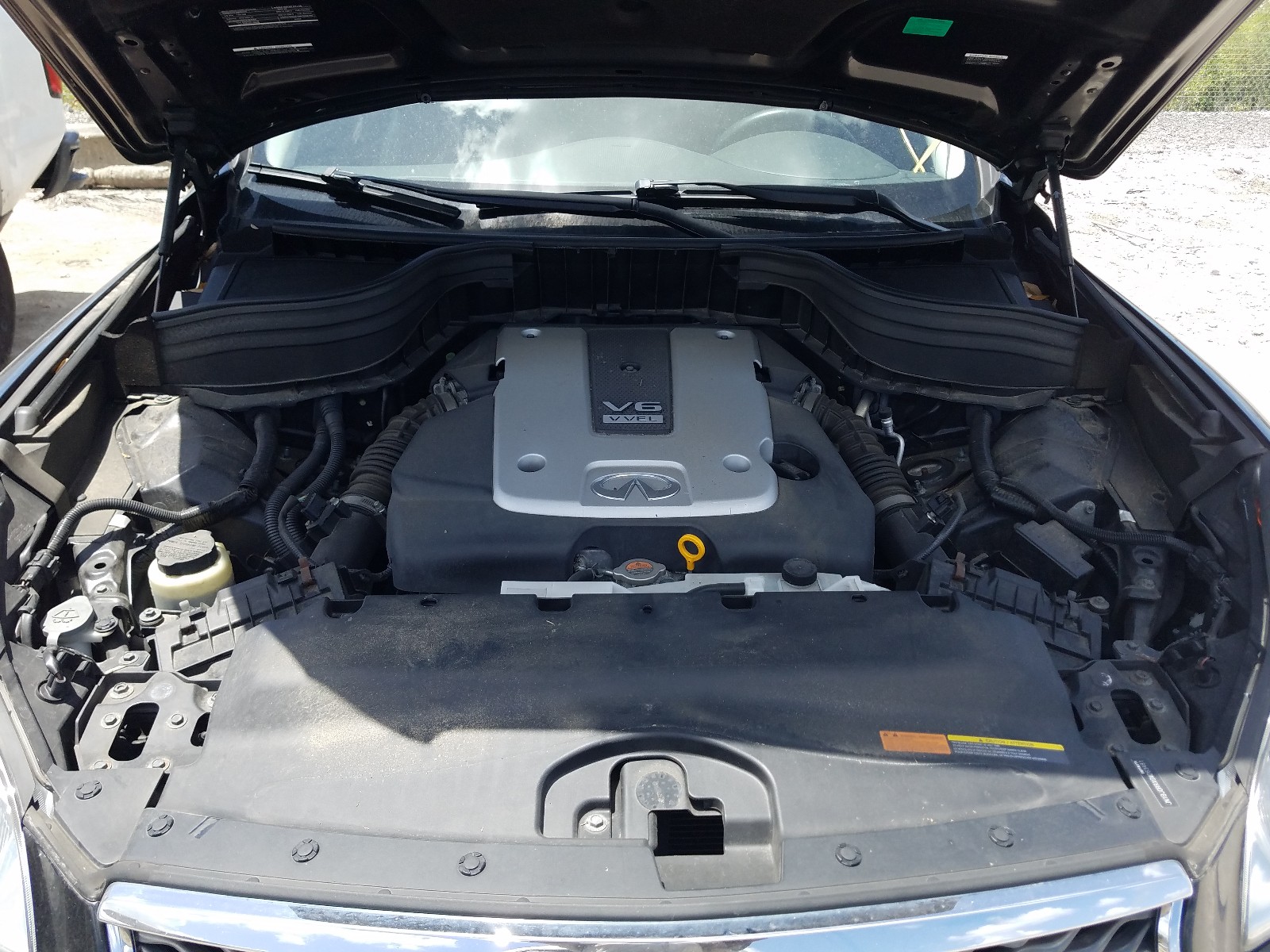 Photo 6 VIN: JN1BJ0RRXGM263481 - INFINITI QX50 