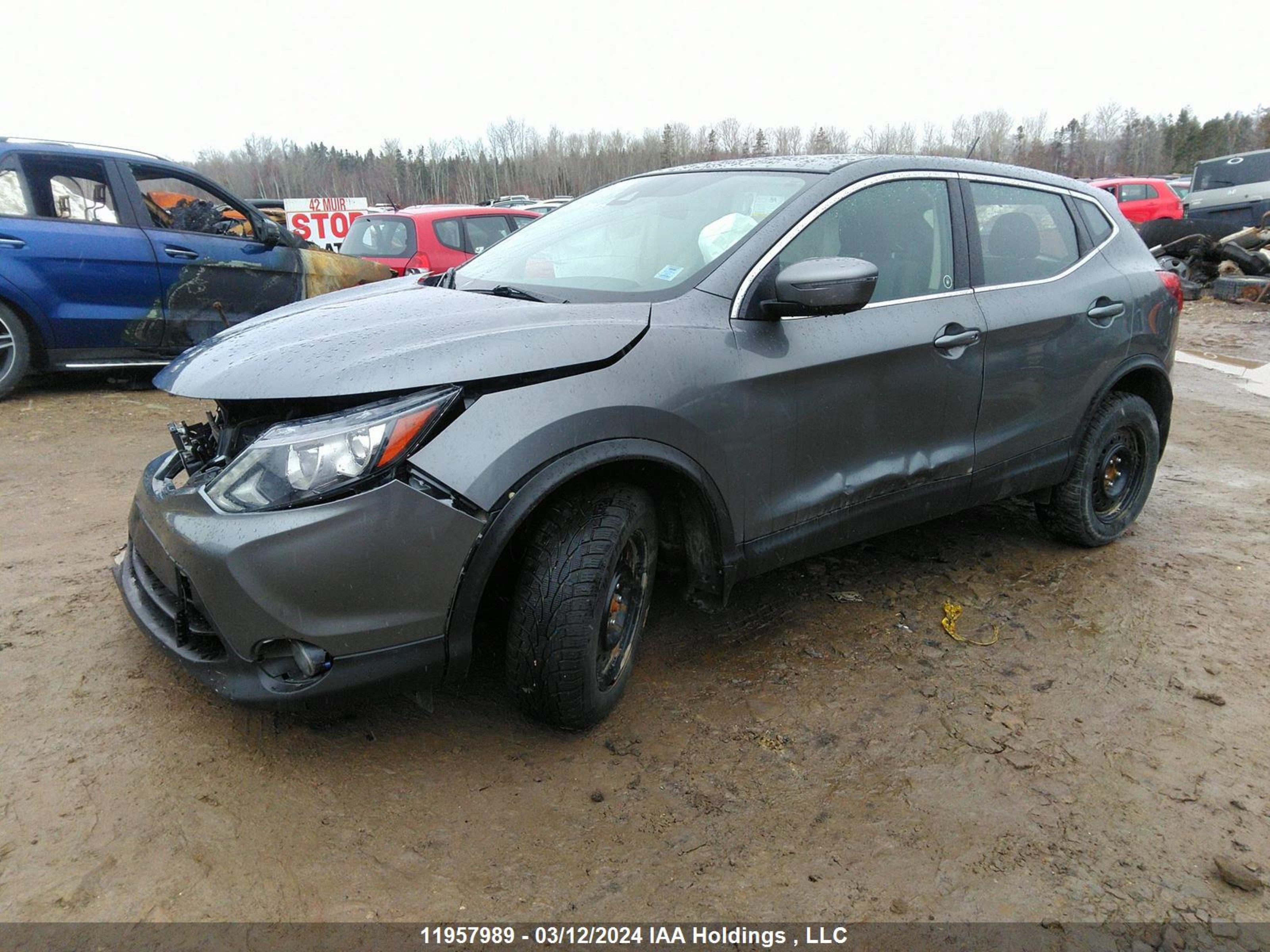 Photo 1 VIN: JN1BJ1CP1KW216656 - NISSAN QASHQAI 