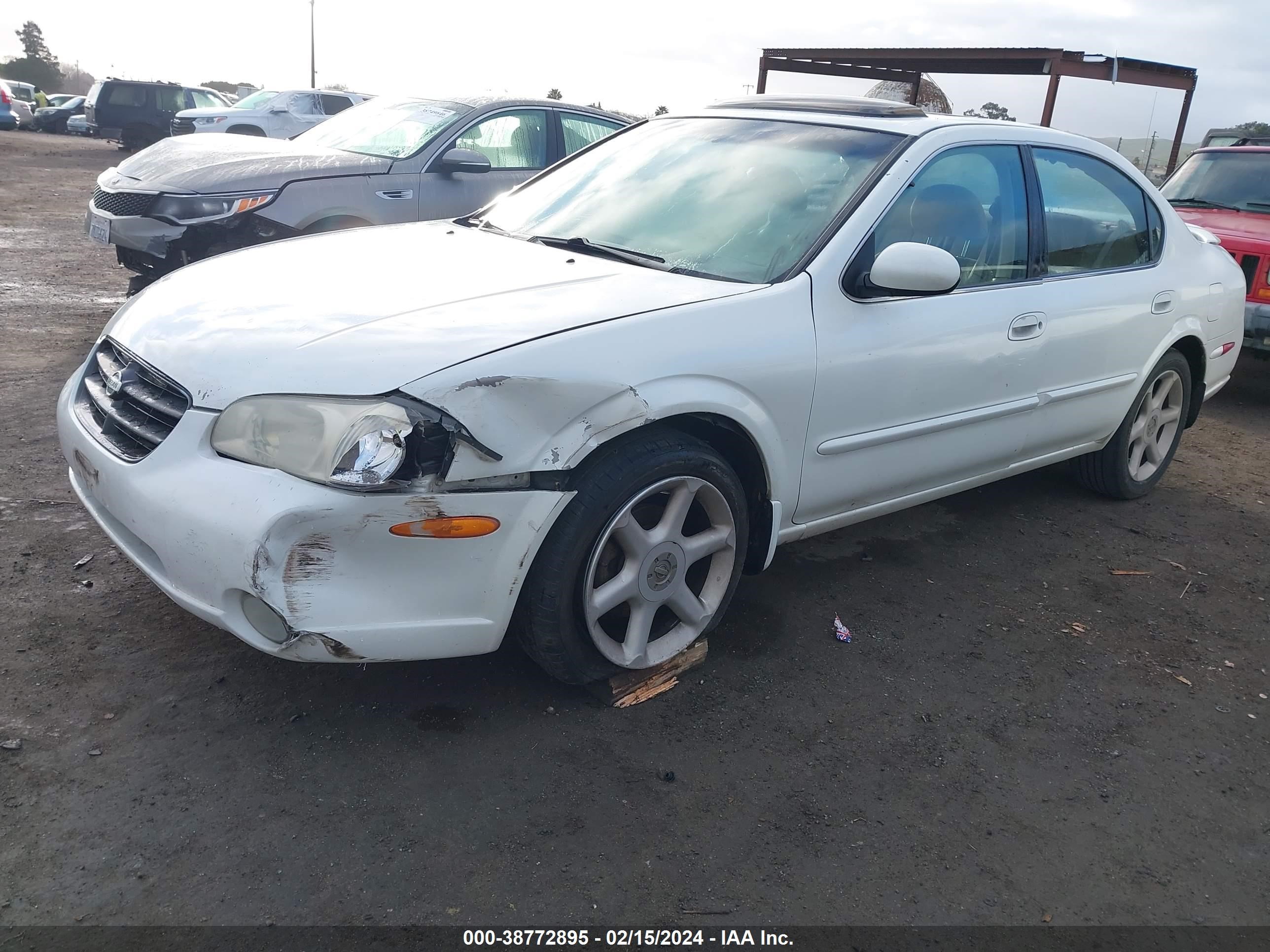 Photo 1 VIN: JN1CA31D31T837048 - NISSAN MAXIMA 