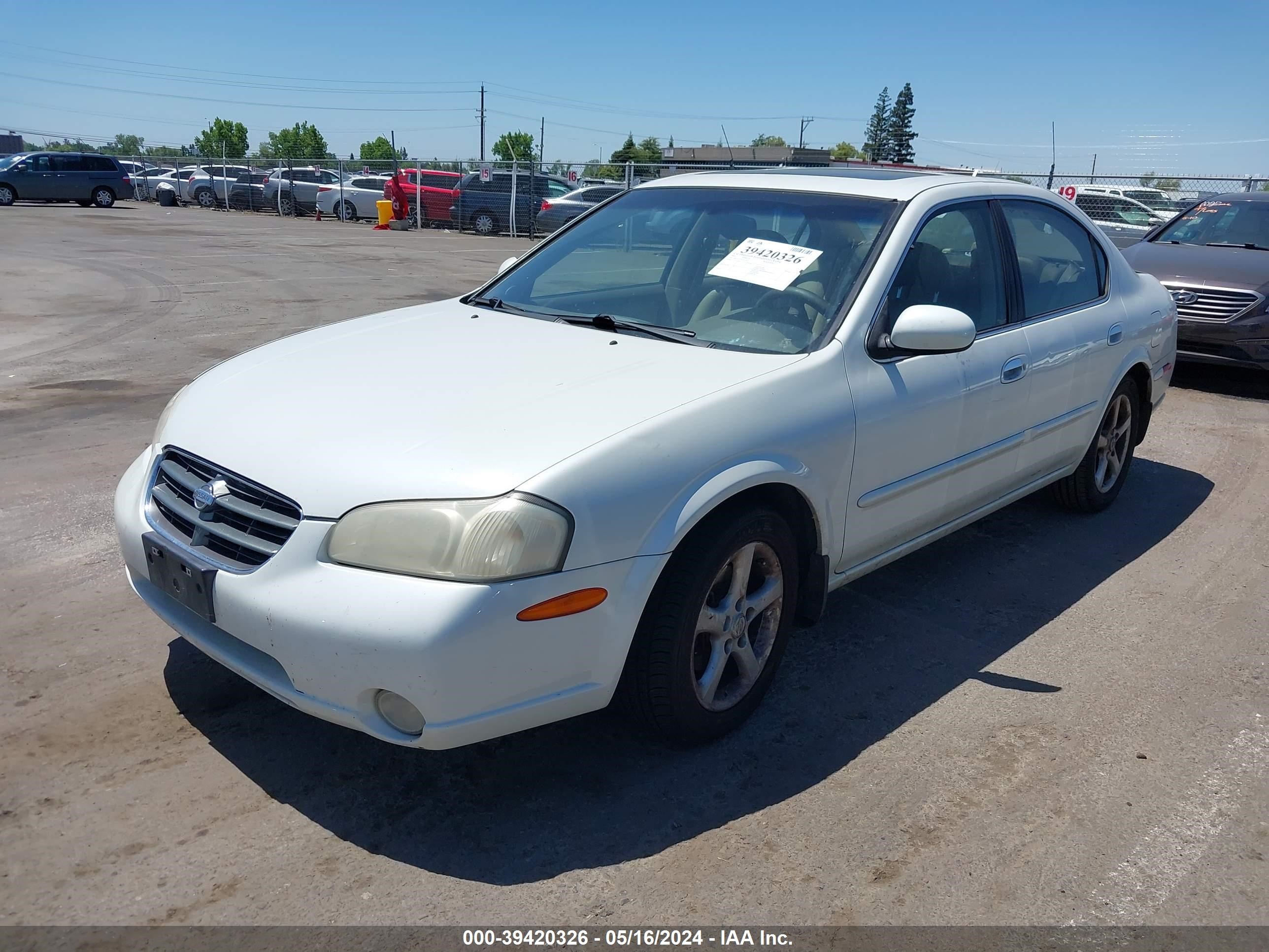 Photo 1 VIN: JN1CA31D51T612825 - NISSAN MAXIMA 