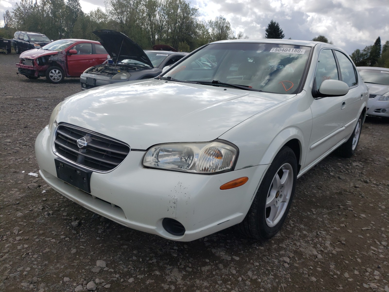 Photo 1 VIN: JN1CA31D71T829437 - NISSAN MAXIMA GXE 