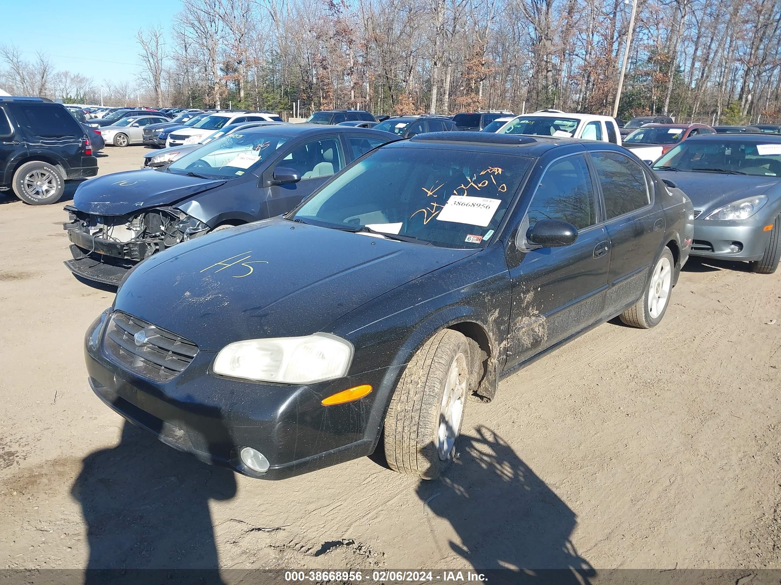 Photo 1 VIN: JN1CA31DX1T811644 - NISSAN MAXIMA 