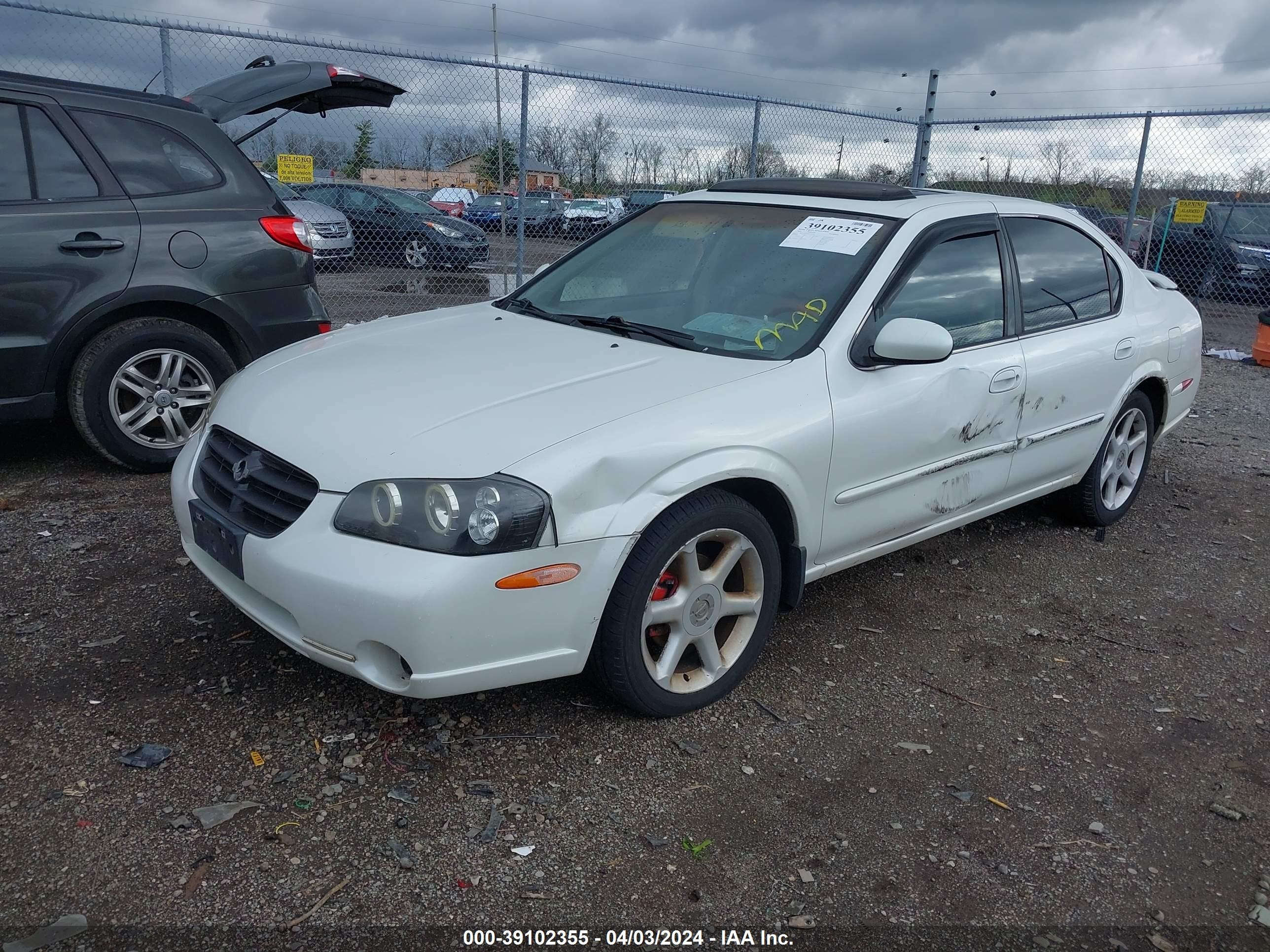 Photo 1 VIN: JN1CA31DXYT546590 - NISSAN MAXIMA 