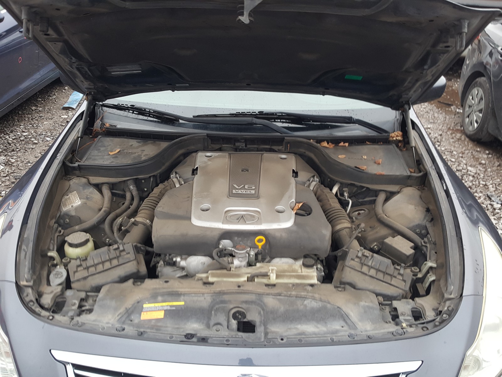 Photo 6 VIN: JN1CV6AP5AM204545 - INFINITI G37 BASE 