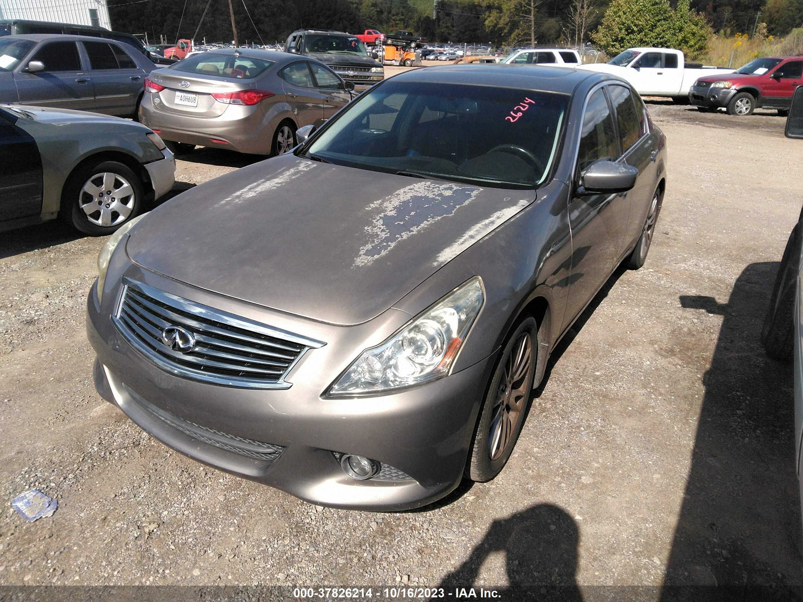 Photo 1 VIN: JN1CV6AP8BM503366 - INFINITI G 