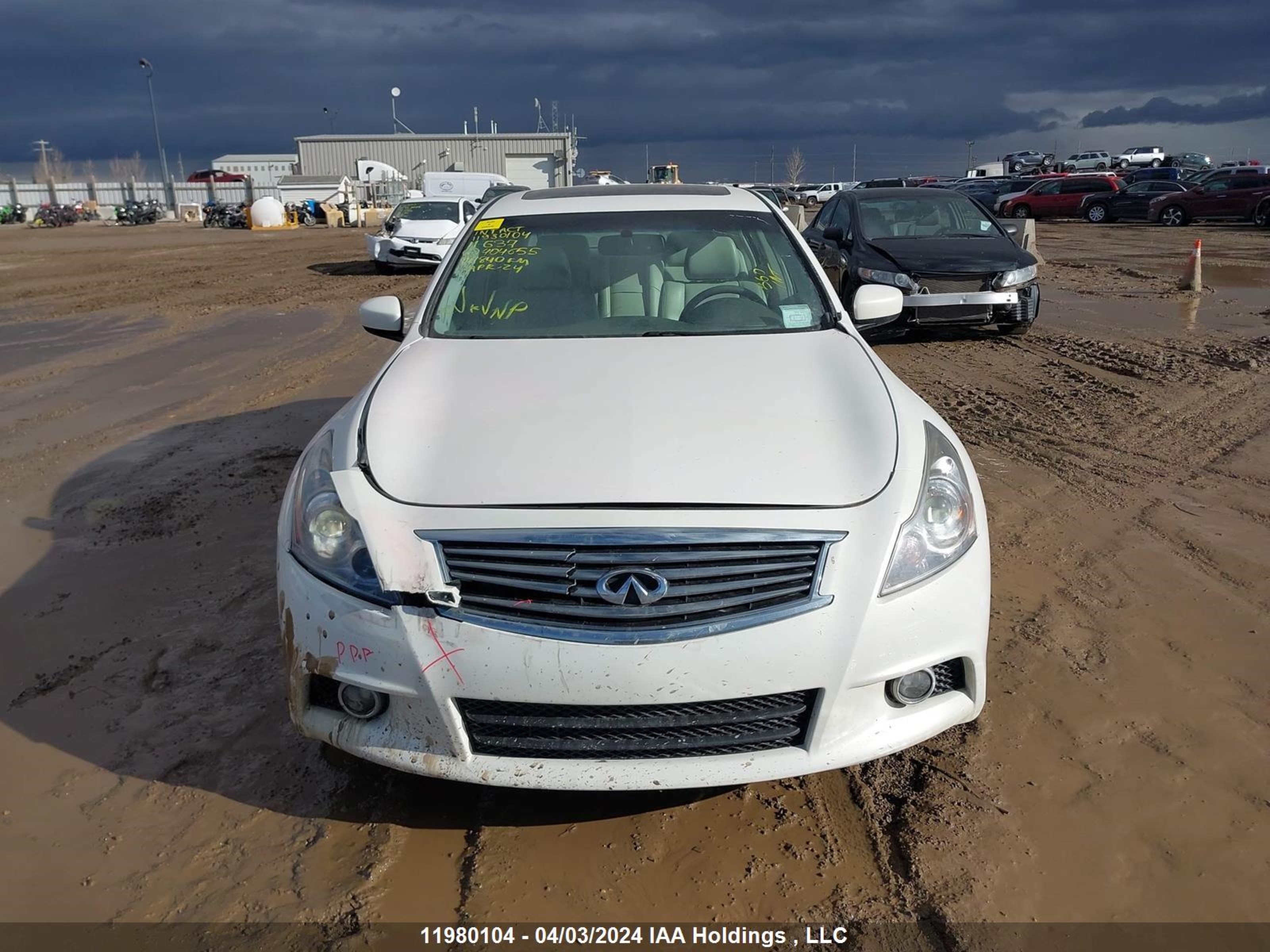 Photo 11 VIN: JN1CV6AR0BM404655 - INFINITI G 