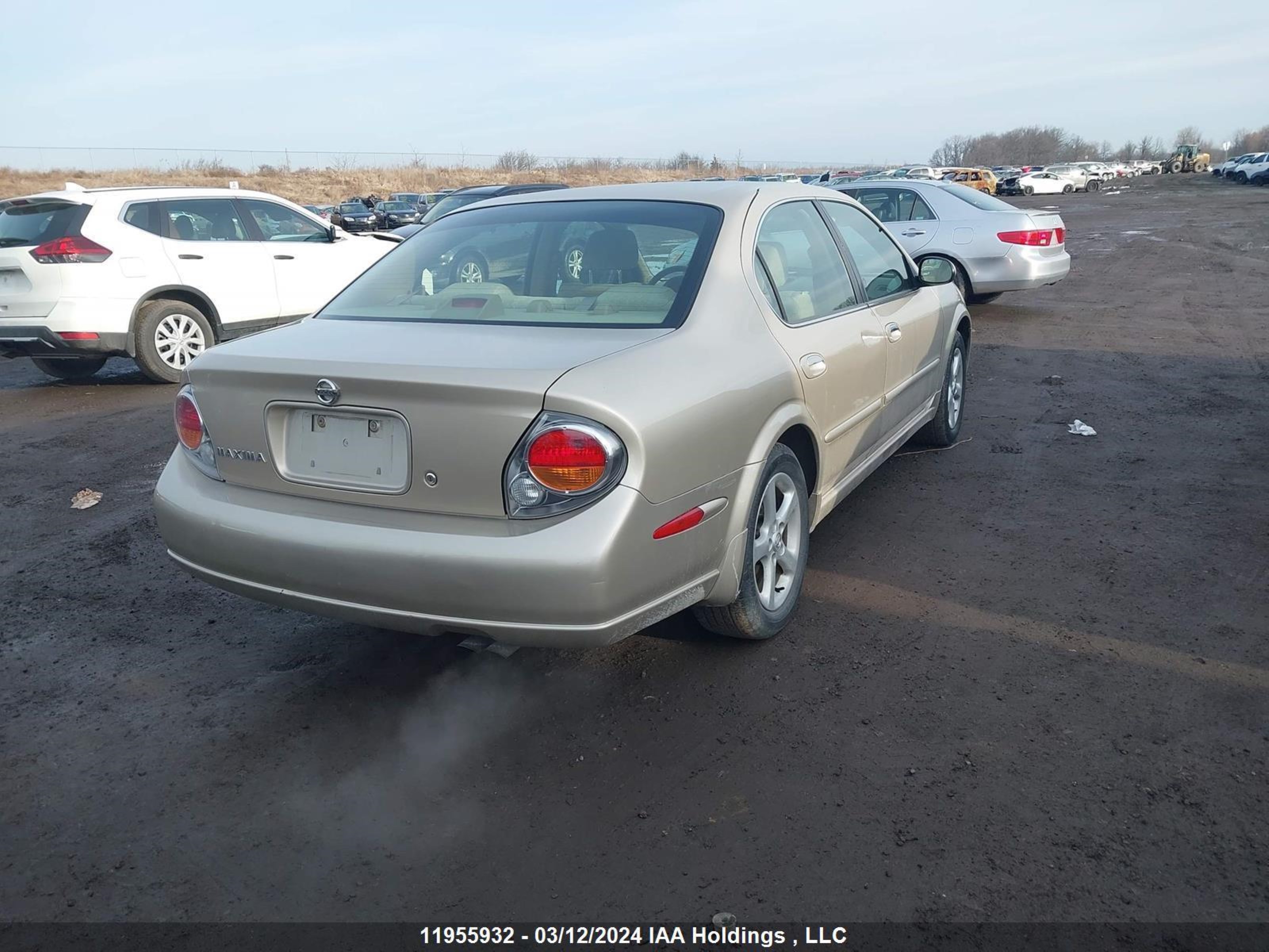 Photo 3 VIN: JN1DA31A93T440442 - NISSAN MAXIMA 