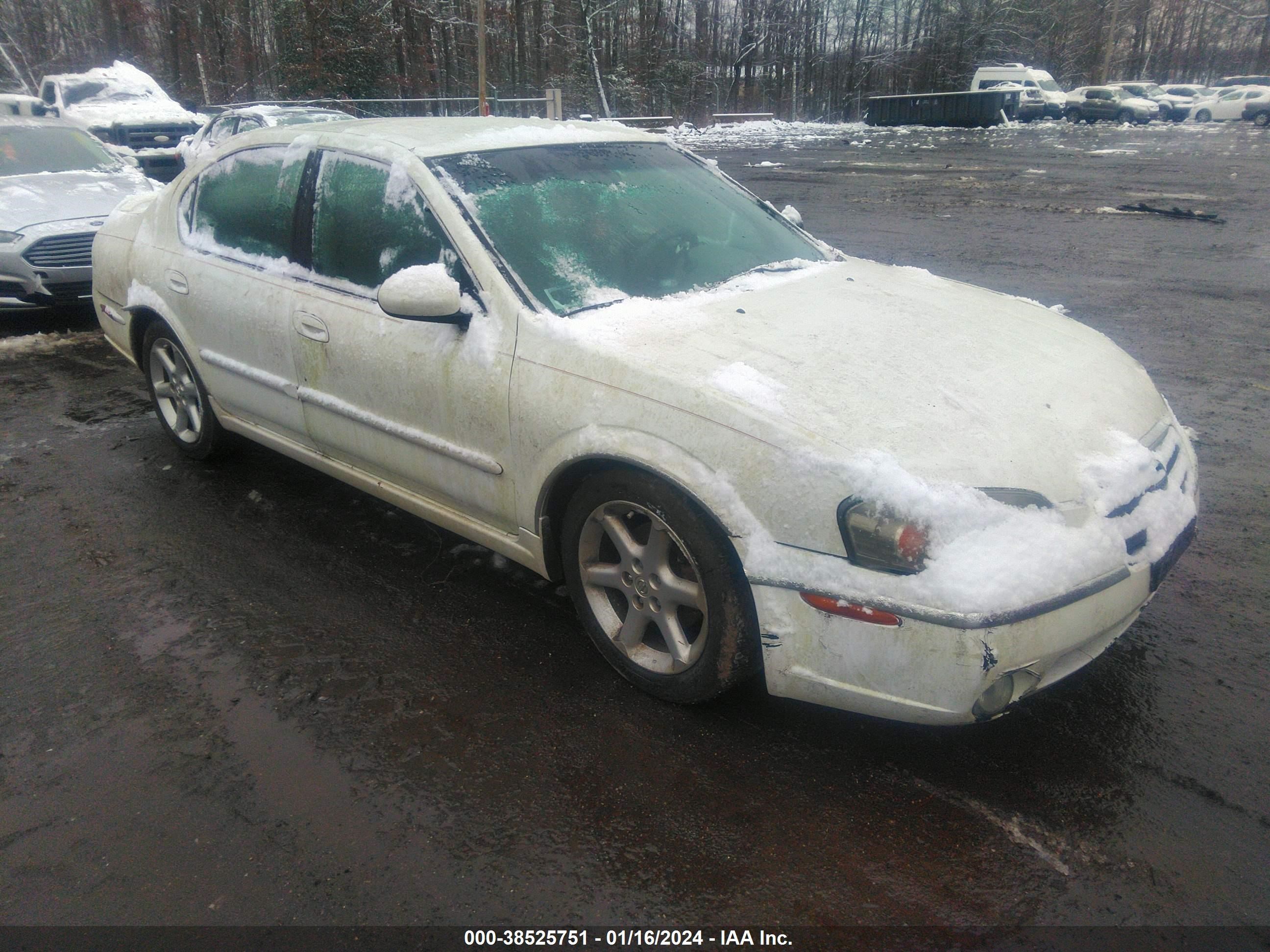 Photo 0 VIN: JN1DA31D02T414059 - NISSAN MAXIMA 