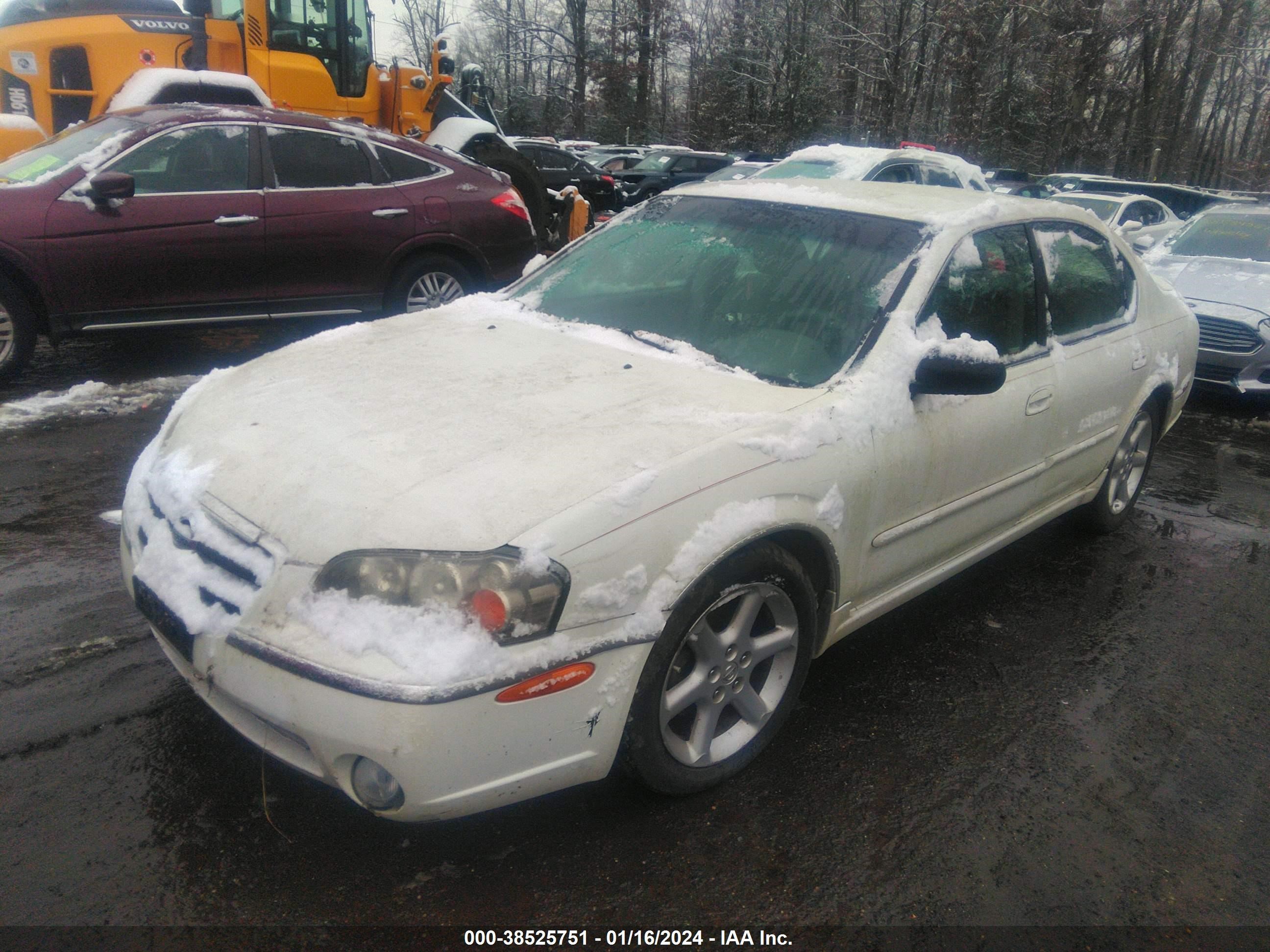 Photo 1 VIN: JN1DA31D02T414059 - NISSAN MAXIMA 