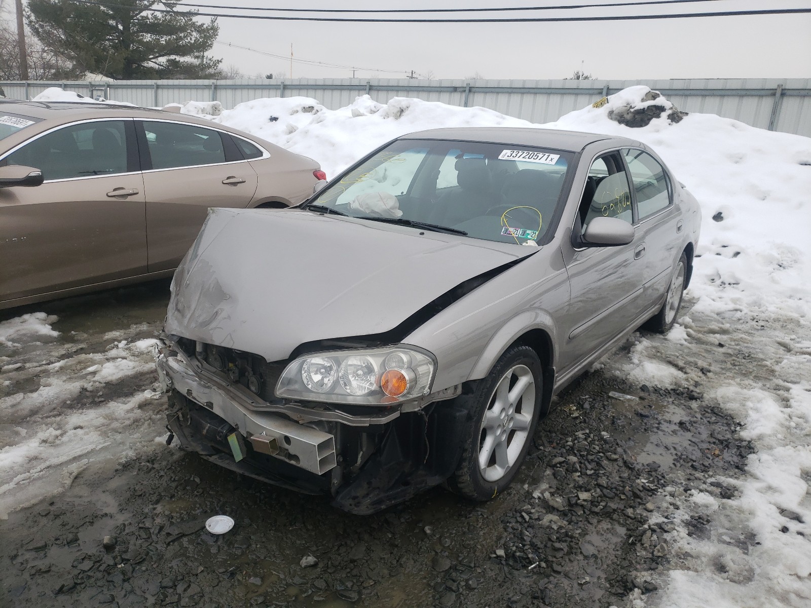 Photo 1 VIN: JN1DA31D23T504346 - NISSAN MAXIMA GLE 