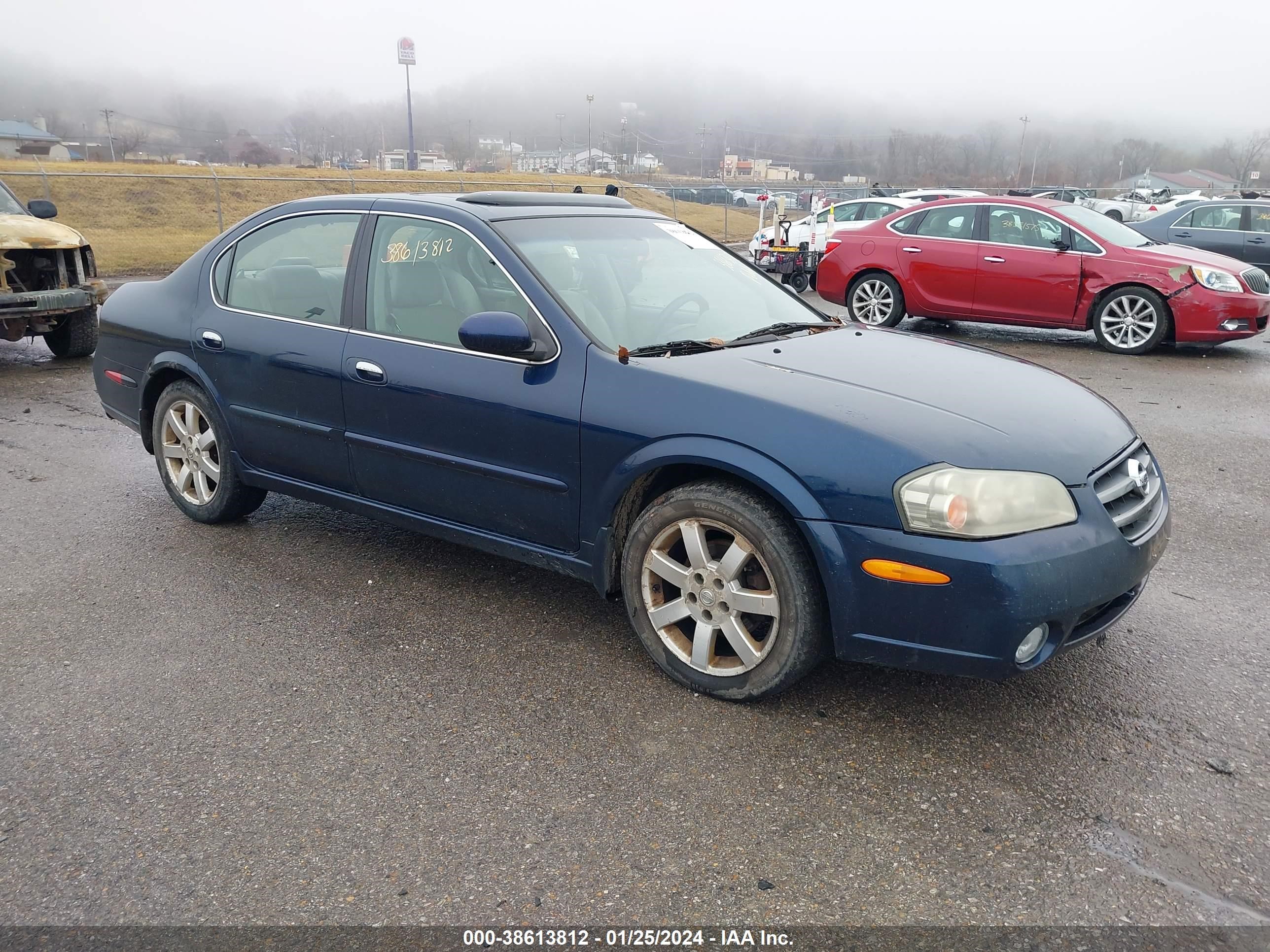 Photo 0 VIN: JN1DA31D82T451070 - NISSAN MAXIMA 