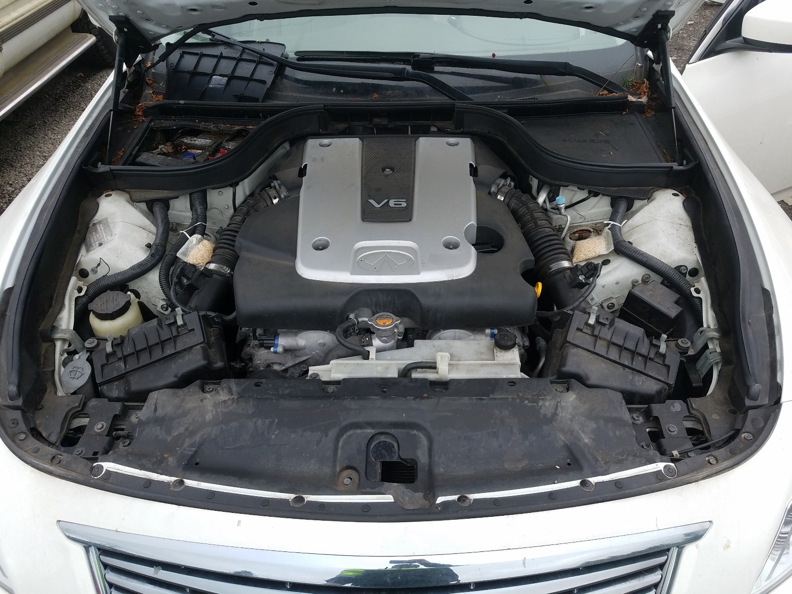 Photo 6 VIN: JN1DV6AR6BM450365 - INFINITI G25 