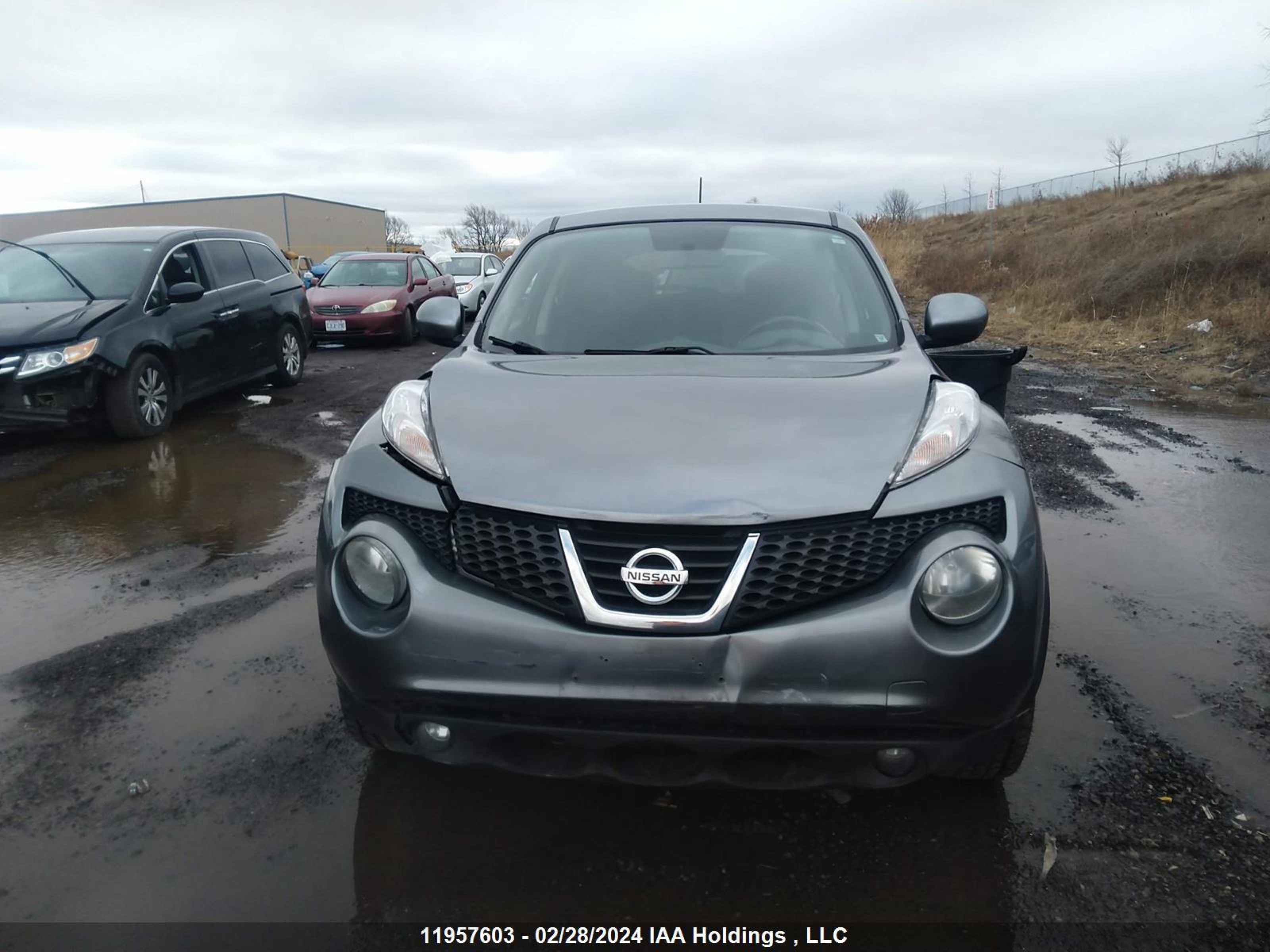 Photo 11 VIN: JN8AF5MR6BT011552 - NISSAN JUKE 