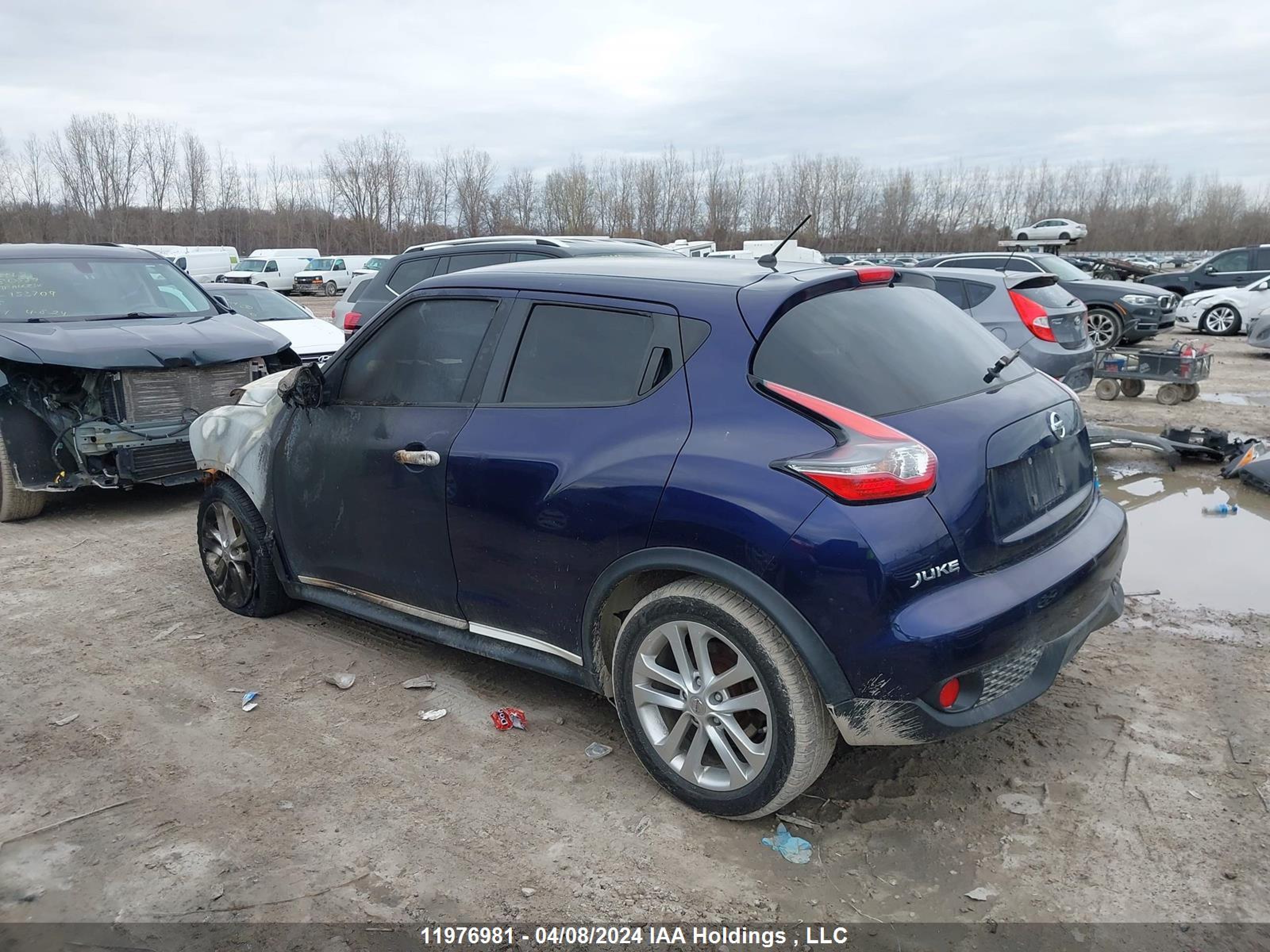 Photo 12 VIN: JN8AF5MV0FT557444 - NISSAN JUKE 