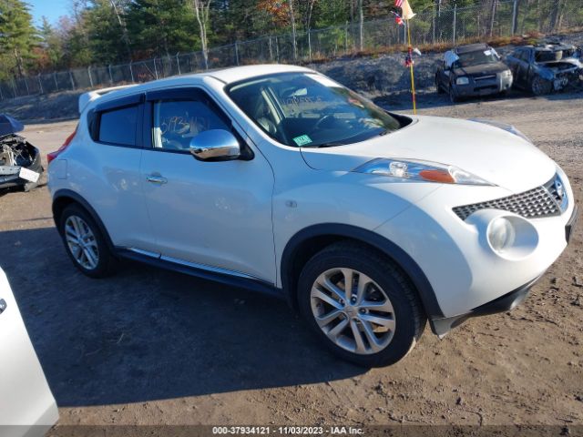 Photo 0 VIN: JN8AF5MV5DT217719 - NISSAN JUKE 