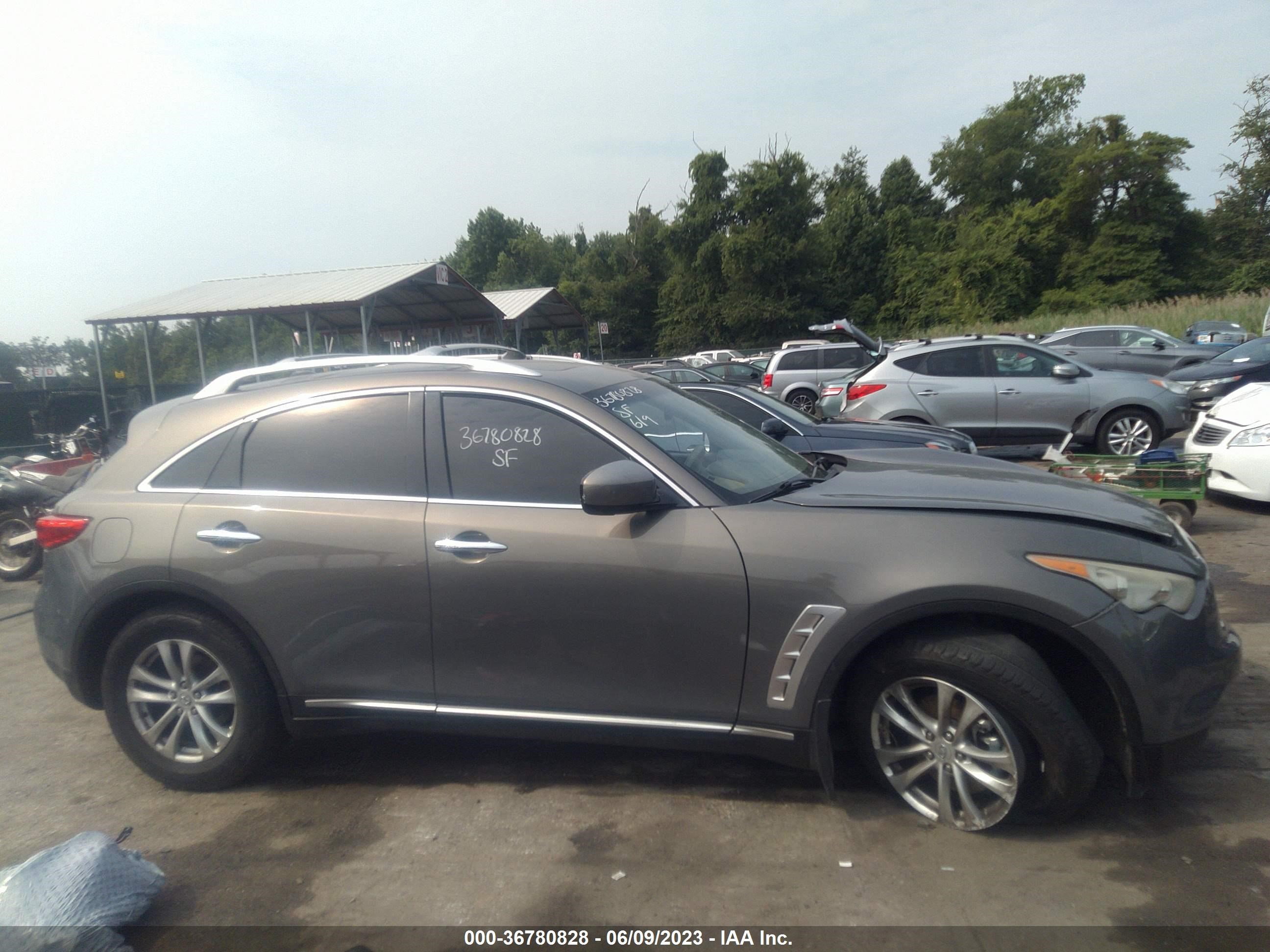 Photo 12 VIN: JN8AS1MW6AM854525 - INFINITI FX 