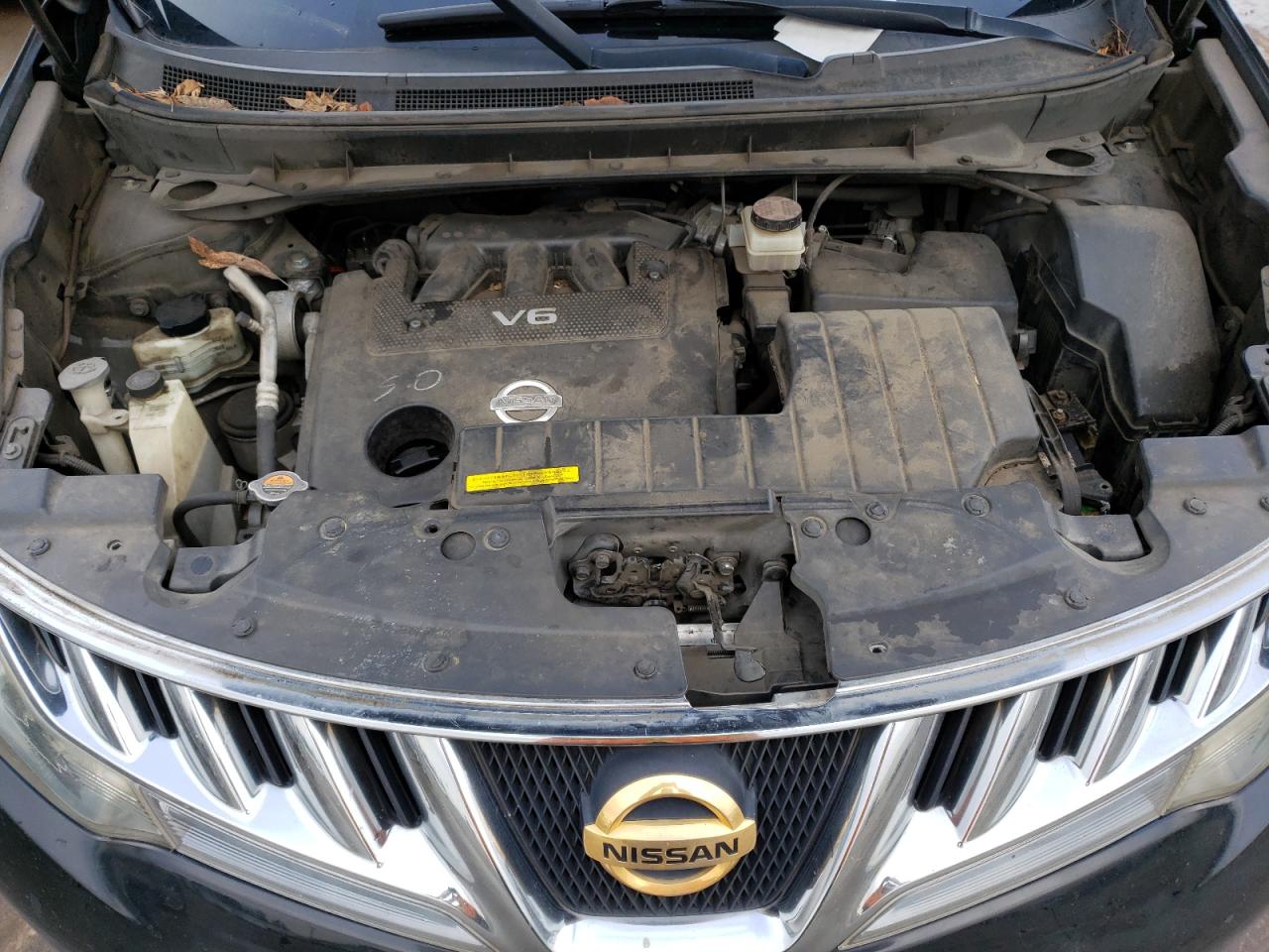 Photo 10 VIN: JN8AZ18W89W130289 - NISSAN MURANO 