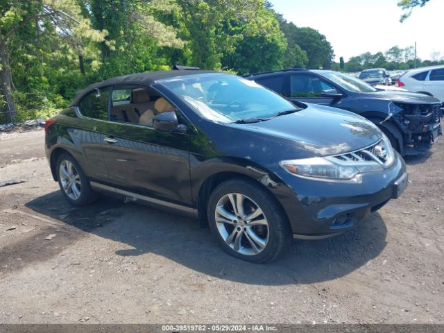 Photo 0 VIN: JN8AZ1FY1BW000784 - NISSAN MURANO 