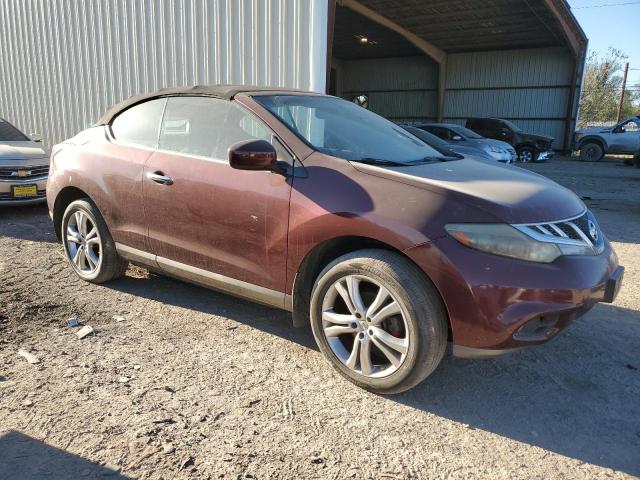 Photo 3 VIN: JN8AZ1FY2BW000132 - NISSAN MURANO CRO 