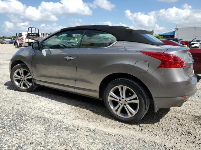 Photo 1 VIN: JN8AZ1FY4CW100136 - NISSAN MURANO CRO 