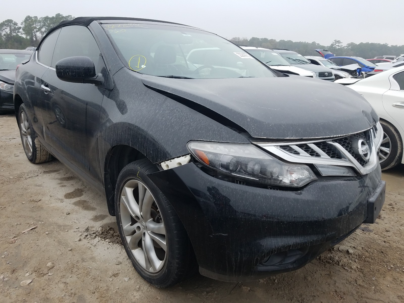 Photo 0 VIN: JN8AZ1FY5BW003056 - NISSAN MURANO CROSSCABRIOLET 