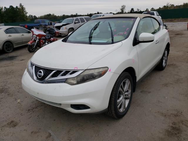 Photo 1 VIN: JN8AZ1FY7BW003575 - NISSAN MURANO CRO 