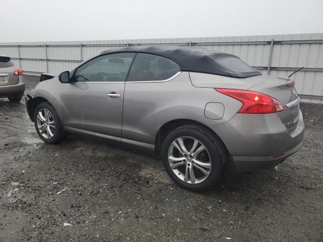 Photo 1 VIN: JN8AZ1FY9BW001925 - NISSAN MURANO CRO 