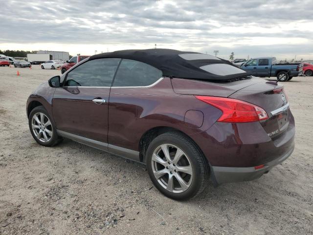 Photo 1 VIN: JN8AZ1FY9EW300917 - NISSAN MURANO CRO 