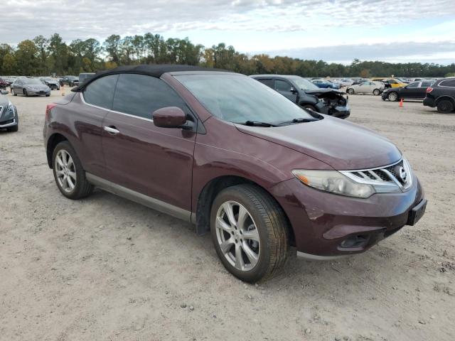 Photo 3 VIN: JN8AZ1FY9EW300917 - NISSAN MURANO CRO 