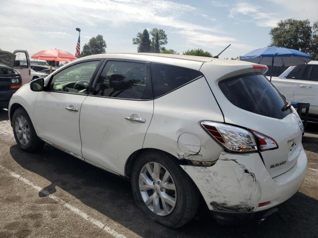 Photo 1 VIN: JN8AZ1MU0DW209677 - NISSAN MURANO LE 