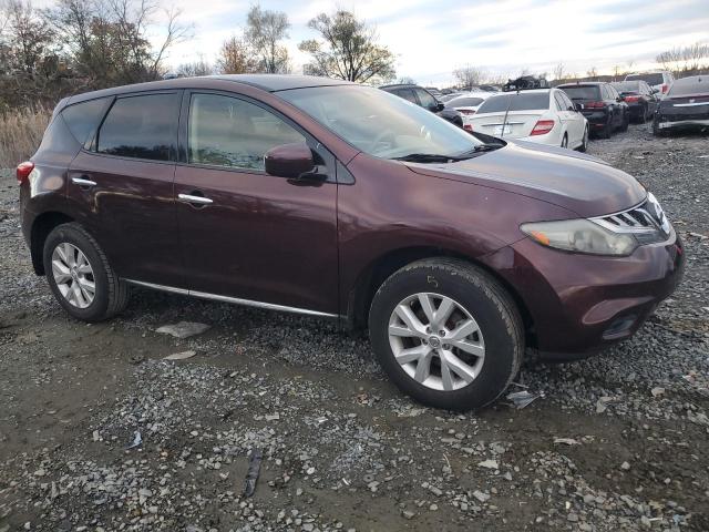 Photo 3 VIN: JN8AZ1MU0DW212529 - NISSAN MURANO 