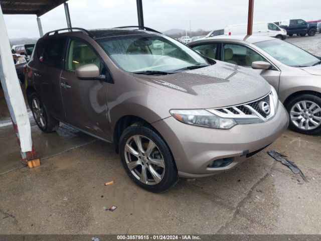 Photo 0 VIN: JN8AZ1MU1EW401384 - NISSAN MURANO 