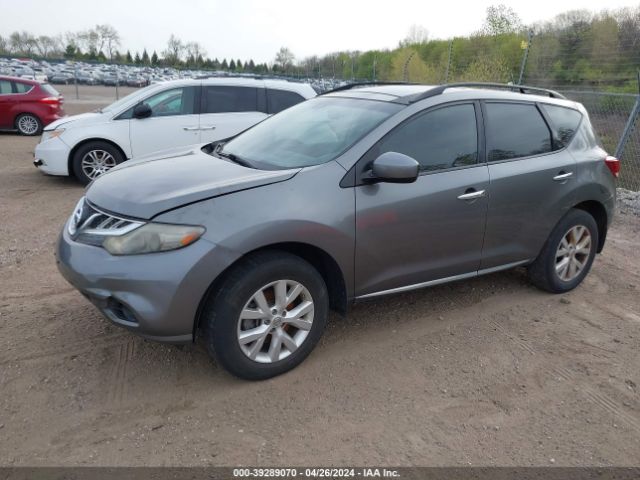 Photo 1 VIN: JN8AZ1MU1EW402129 - NISSAN MURANO 