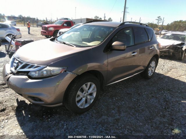 Photo 1 VIN: JN8AZ1MU2DW206957 - NISSAN MURANO 