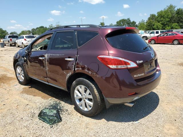 Photo 1 VIN: JN8AZ1MU2DW213021 - NISSAN MURANO S 