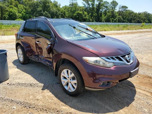 Photo 3 VIN: JN8AZ1MU2DW213021 - NISSAN MURANO S 