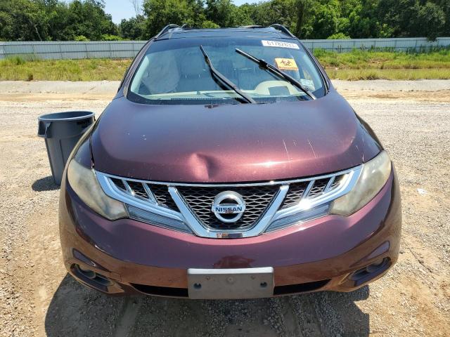 Photo 4 VIN: JN8AZ1MU2DW213021 - NISSAN MURANO S 